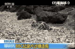 ���q�Yä�C�y�p�ː޳o�þ@�v���K�Y��