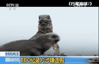 �Yä�����������I