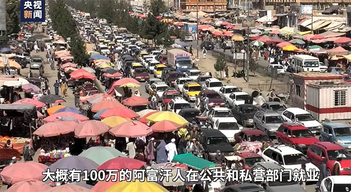 �������m�\��ح����m�����D�Г| �g���L�Tڹ��⧽�[���W�g�~