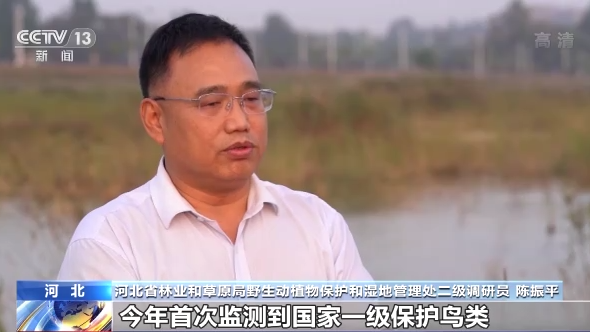 �d���S�Ф�ح��ä�ͺA�O�E�Y����� �դ��S���y�i�L���r��