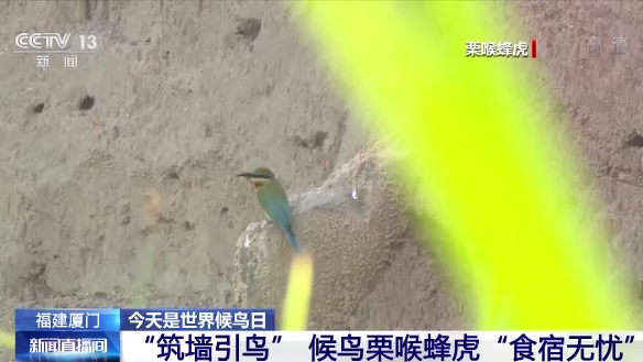 �d���S�Ф�ح��ä�ͺA�O�E�Y����� �դ��S���y�i�L���r��