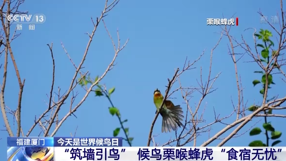 �d���S�Ф�ح��ä�ͺA�O�E�Y����� �դ��S���y�i�L���r��