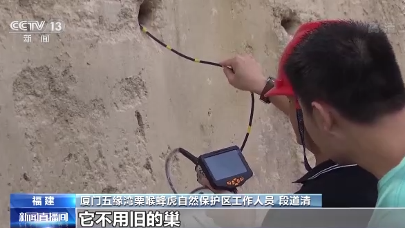 �d���S�Ф�ح��ä�ͺA�O�E�Y����� �դ��S���y�i�L���r��