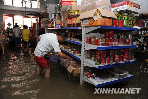 ���ʐ�L�a�Ԕ����w���o �_���V���p�