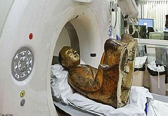 Ÿ�Ȳ������E�� ���Y�������W�ңV�v�F�Y