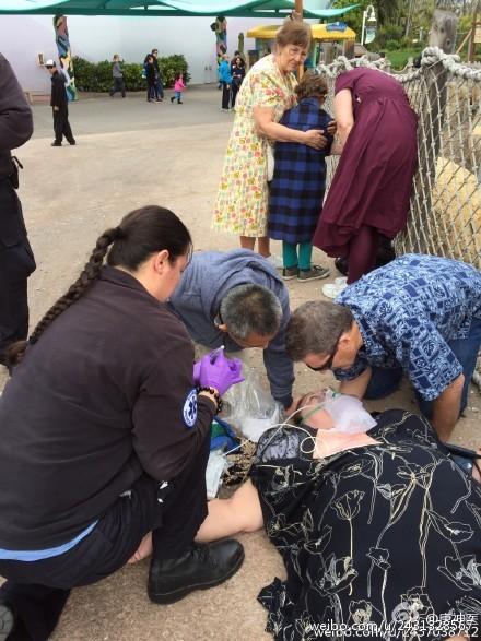 ��ä������ä���P�����J�H�������