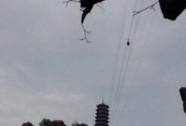 �픶����������ħ�d�_�����ꓪ �q�e�għ�d�Y��