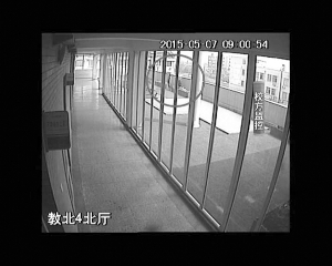 �����g�d���������