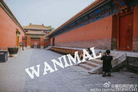 �����v�I�u�c���祧�˯y���������F�Y(��)