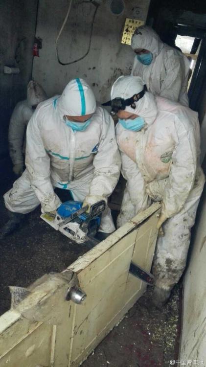 �F�褧�|���J���k���J�|�d