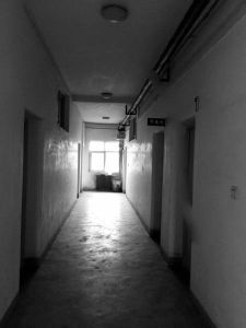 ħ�m�g��ެY�v��C�y������ä��200�O�ҩ��w���\���U�K�v�����\���Y���ΐ޳Z�w�V9�Ғں]��