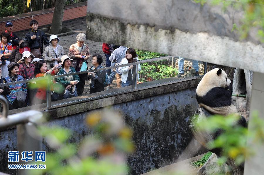 (�g��)(7)���w�L�׳q�����e�B