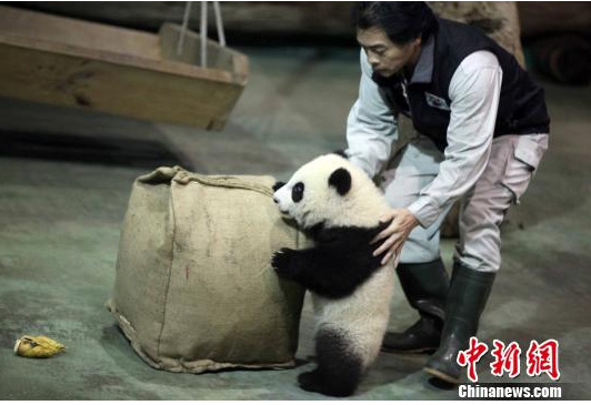 �L��]�G�G���i�Q������L���n�����ʐ�