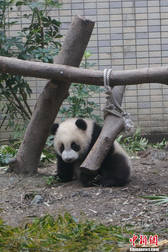 22452�ˣ[!�L���n�����������Ͳ���Я}2��(��)