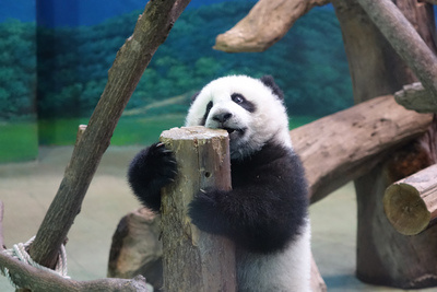 �L���n���G����8�ѕs�����������̿ؒ���(��)