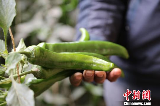 ��C�騫�o�䤧�j�F�]���l����W���g�����