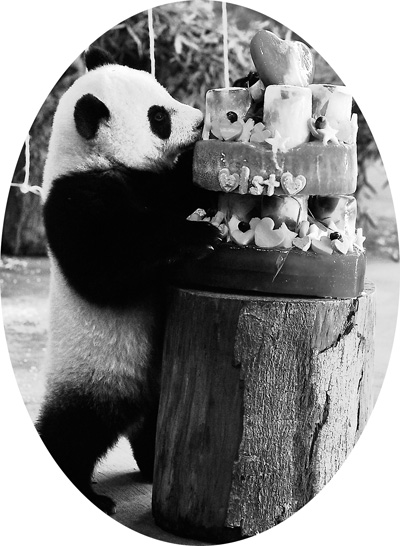 �L���n���÷Вɐ�