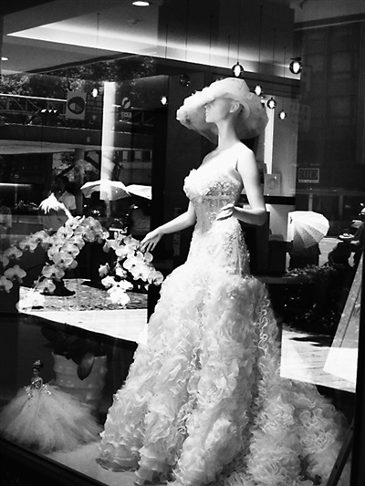 籓灣新砍戮穨Τ承種 籓灣新砍戮穨Τ承種