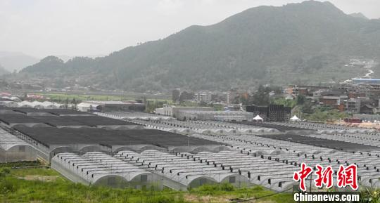 �Q�b�]���L��X�����WͲ�d���ͣ}�E