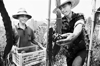 ���W�V�Ļ���o�w