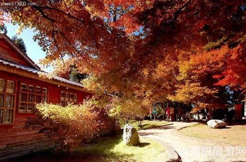 APEC�����w ���쩷�����Y���W������