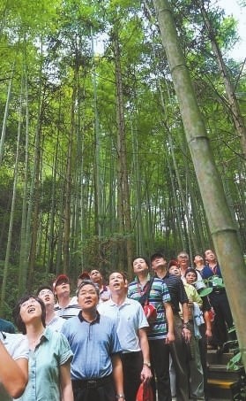 �ߖE�����C�y�p�|���єE�S