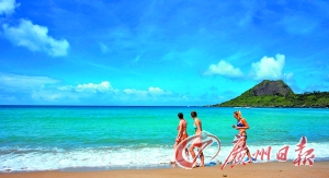 ��ҹq�� �z�����W