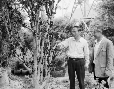 ����������x�Ϫ쨩�s�j�L���s�̡��W�z���K�����