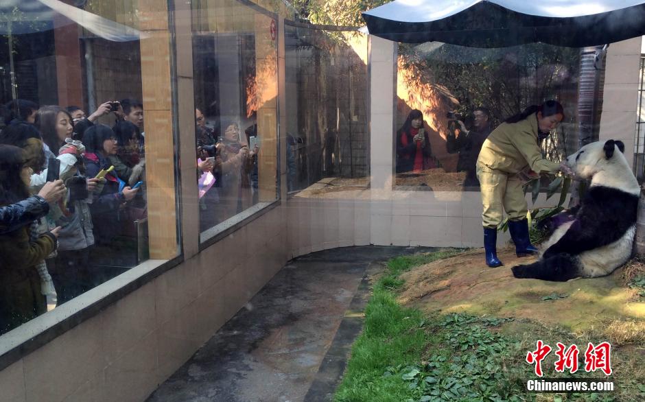 ���ʐ�L�e�С���]�R�|�ڧj�����W�v���˯V