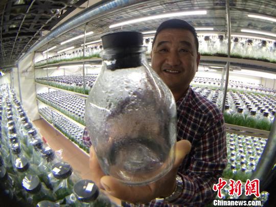 ����潒��f�^�Ԕ��e�L�q���s���\�@���I