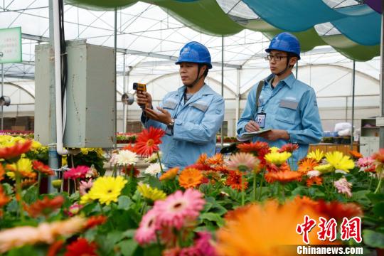 ����潒��f�^�L�}�����Ԕ��e �L�q���s���\�@���I