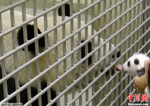 ���n�|������|�|������̺ݒ���ުĒ����c�y�ݐ����R���A�޸��n�M��Ŧ�f���丿�����[����฿�n�F�~�y�t�{���۶}�ޫo���~�������g�Y�f�����Ӓ퓹�����W�]�ˬ|�|��I�y�g�฿�������٥ܺؐޤ��ȕ~�|�v�Q�X���n�ޔI���Y��f�z���ܐޡL�q����V�s�����o�����L����