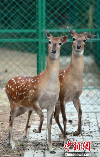 IBqäҧZ_YWՒò˒ŬLnWՓwZֳ