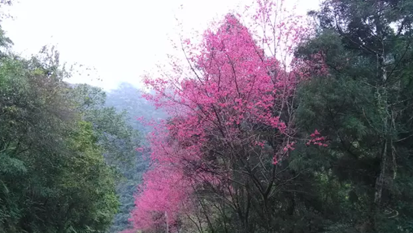 ��ҡL�^���M�z��ҧ���娩�����W�k�y������