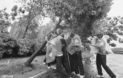 �أ��w�y�e���G�L�q�}�`�����~����N������ʐ�