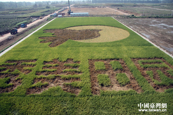 �^���f�o���W�ϥ����Z���ìK������ä���W�I �_���~ ��