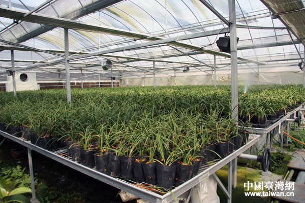 �^���f�o���W�����Z����b�^��޼���ͺA�Z������ä���W�I �_���~ ����