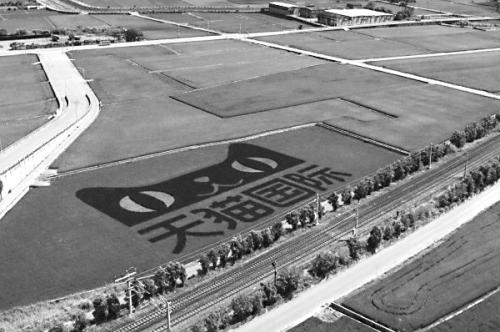 �L��жP�Ѹ]���s���W�ߺA�T�C��k�B�L�J�����m��