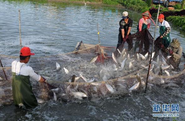 ���M���⳰�}�ߓ��s���������壳�w���l2015���֭�