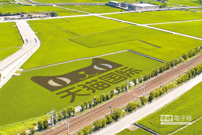 ��i�q�� �g�����~���J����