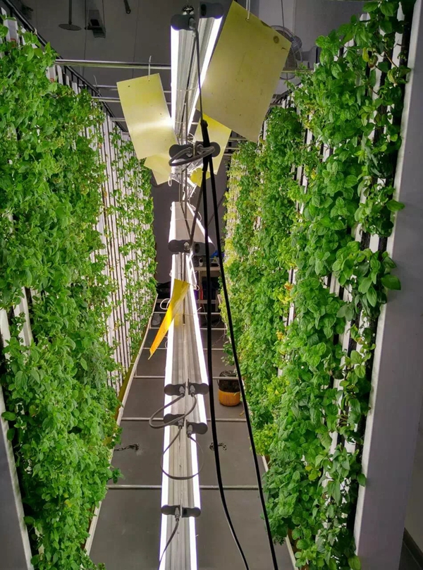 �_ħ�����椺�\�߶P�q�Ϫ�