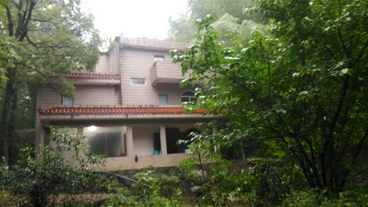 1994�e����M�i�e�q�q�f��s�H��������o�ȕo���f������13���s��