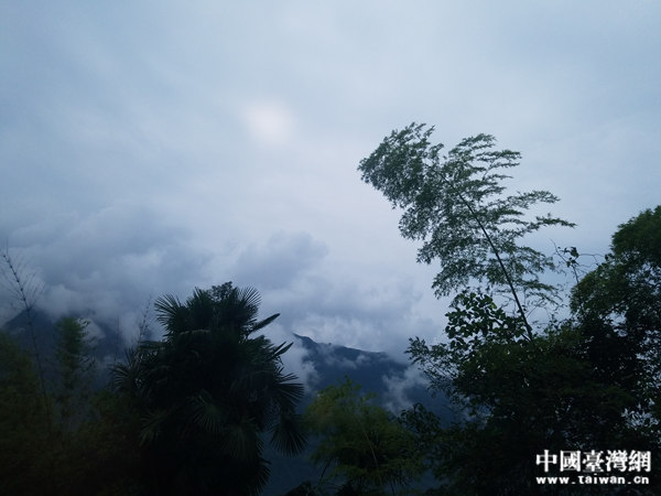 ���ʐ�2016�hä����I�C�鯾�o���͕o�z�����