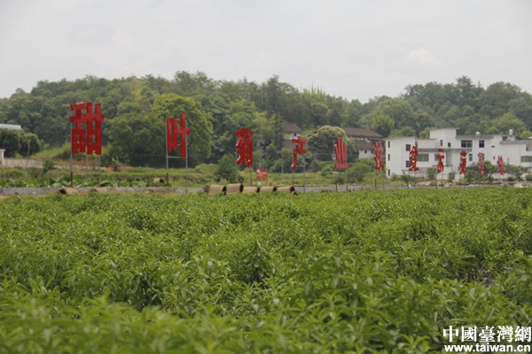 �G�y򳤤�Y�e���u�u�H���D�߯��n�Ϥ�W�O��|�j