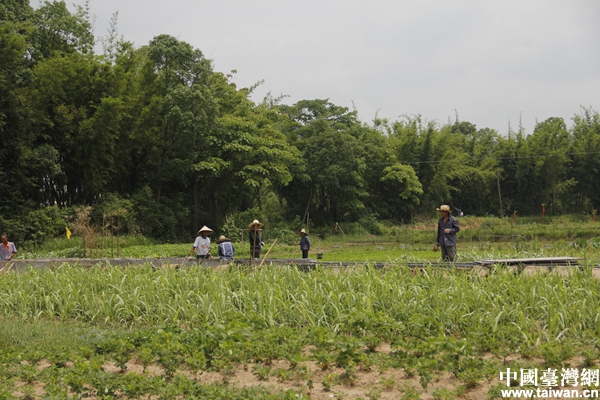 �G�y򳤤�Y�e���u�u�H���D�߯��n�Ϥ�W�O��|�j