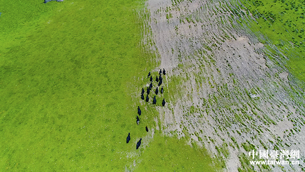 �̧��b���k���d