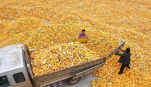 �H�����ѣO���F