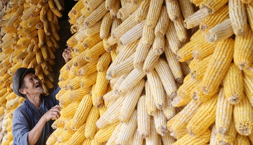 �ۣO�Y����