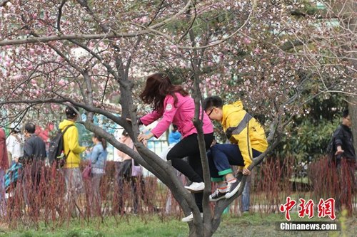 �I���ˬYä�����}���Ԓ�|�ͤ���R�o�n���~�a���ʐ���3��