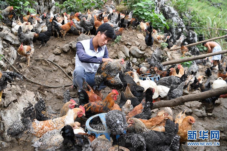 28���Y�����ТQ�p�Y�e���L��򧡲